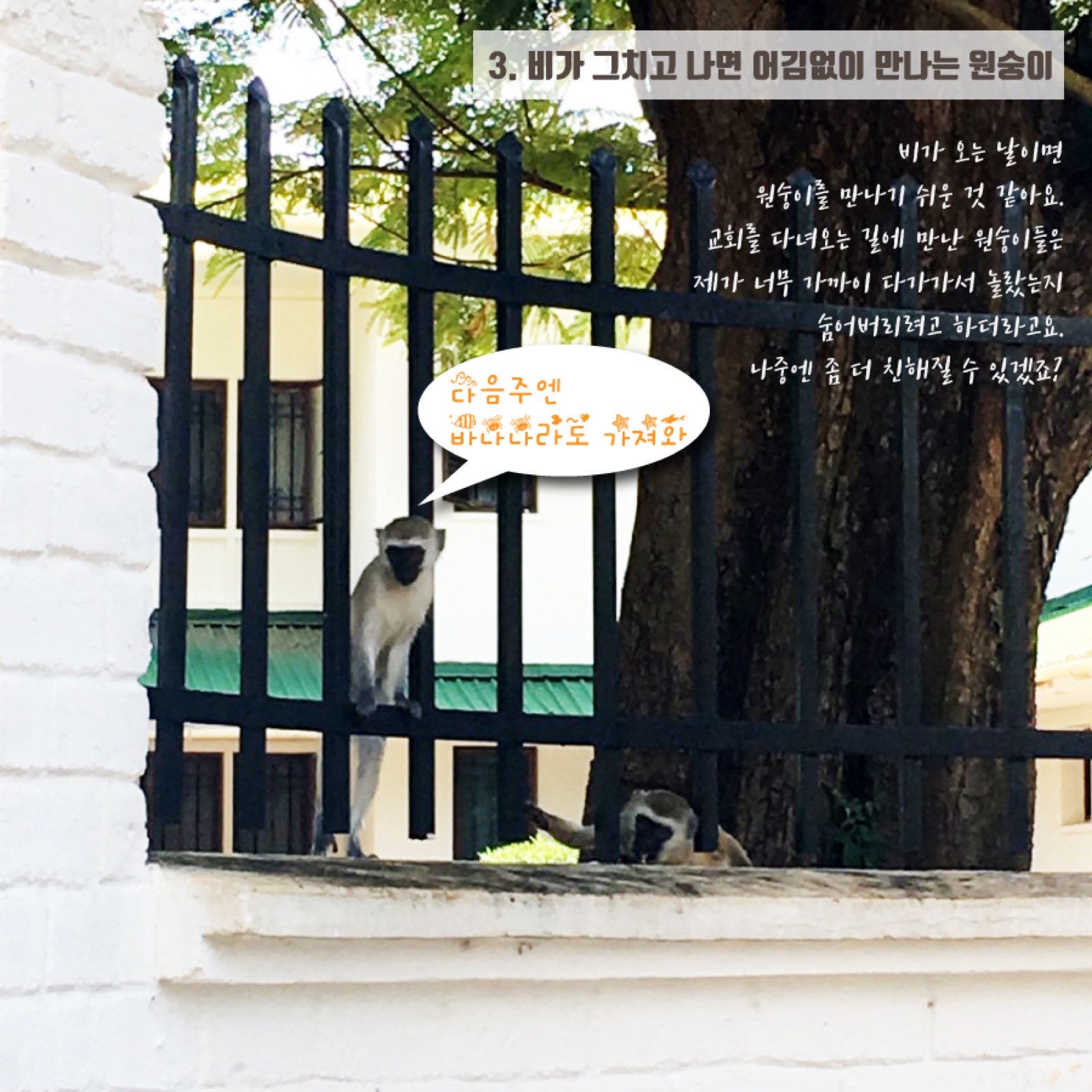 2019 월드프렌즈 NGO 봉사단 활동사진전, 이예진 단원 출품 사진