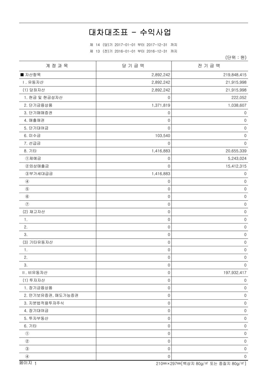 2017년도 재정보고 — 공시 서류 13쪽