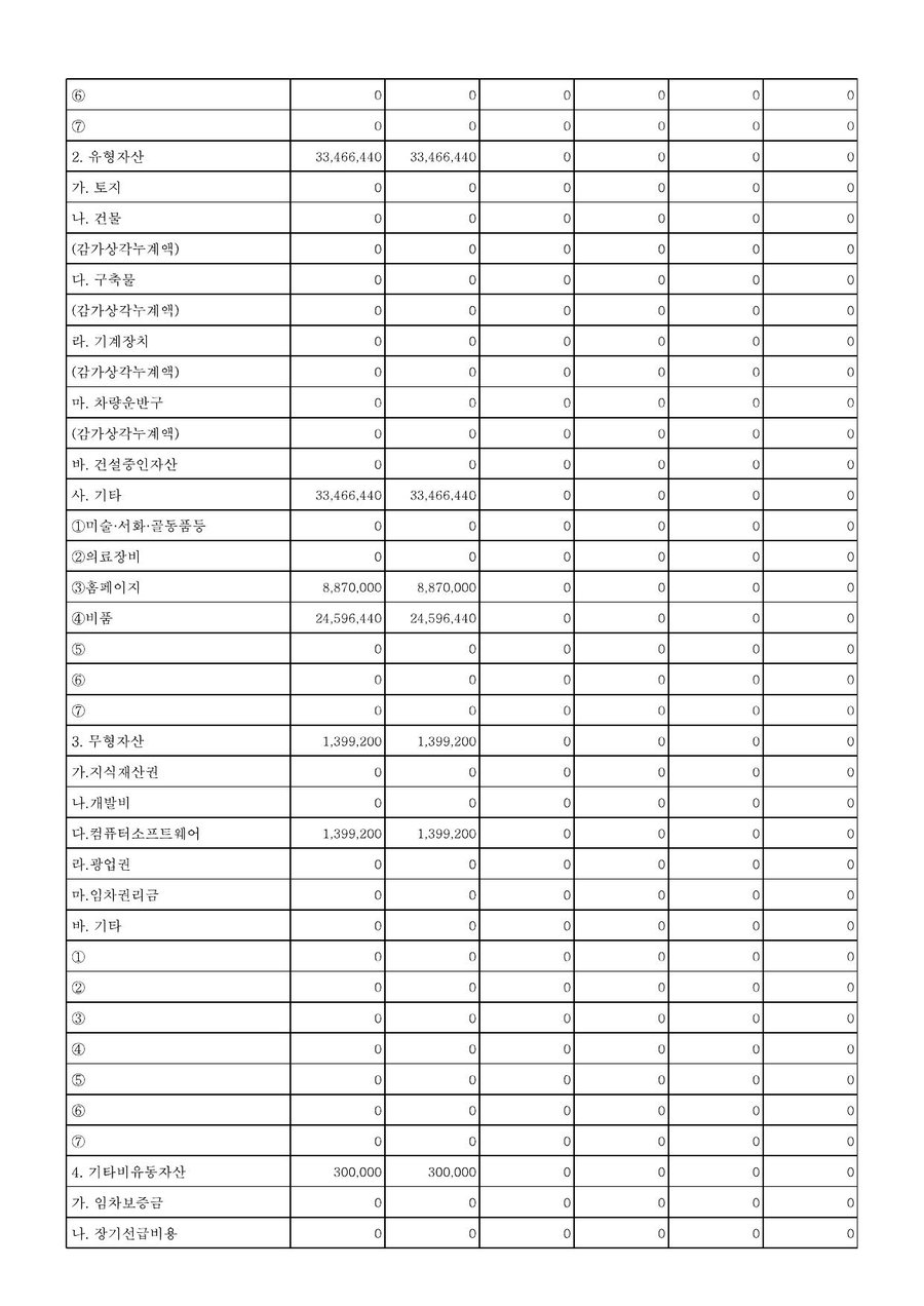 2018년도 재정보고 — 공시 서류 11쪽