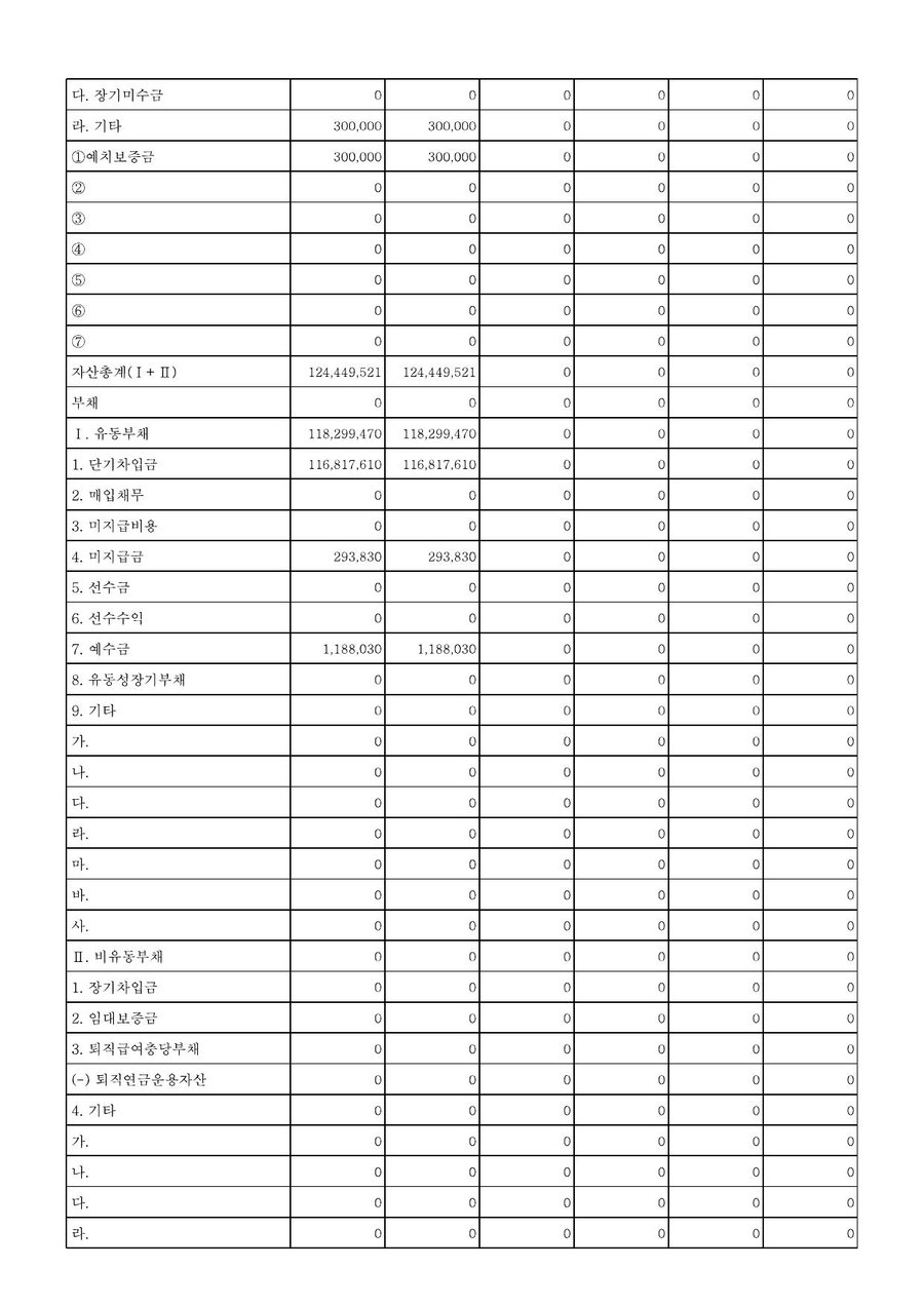 2018년도 재정보고 — 공시 서류 12쪽