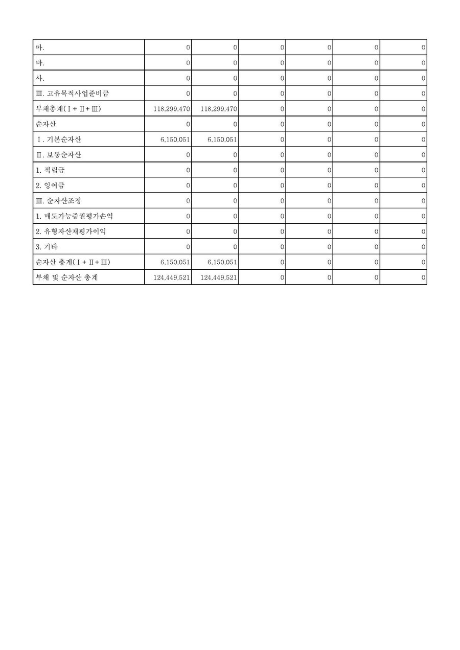 2018년도 재정보고 — 공시 서류 13쪽